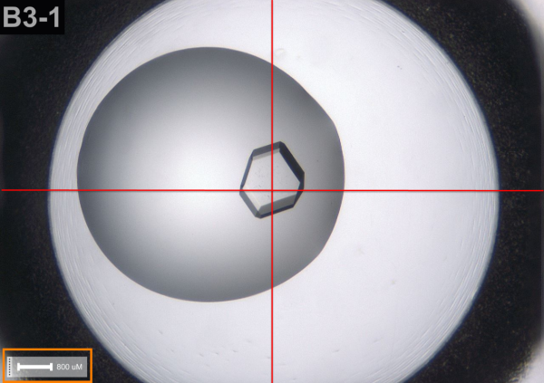 Crosshair and Scale Bar