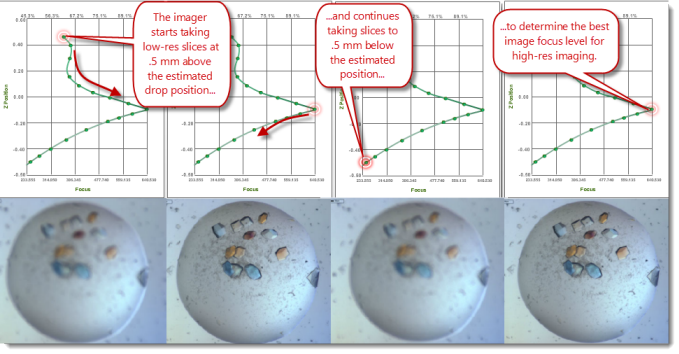 How Autofocus Works