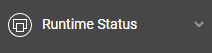 Runtime Status