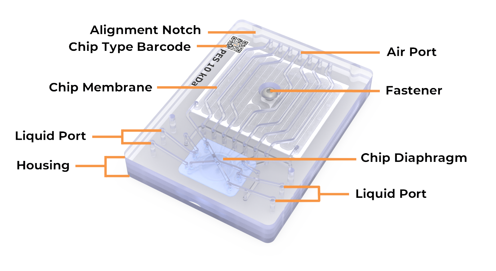 Chip Overview