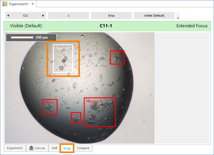Imaging is Disabled for the ROI Surrounded by a White Box