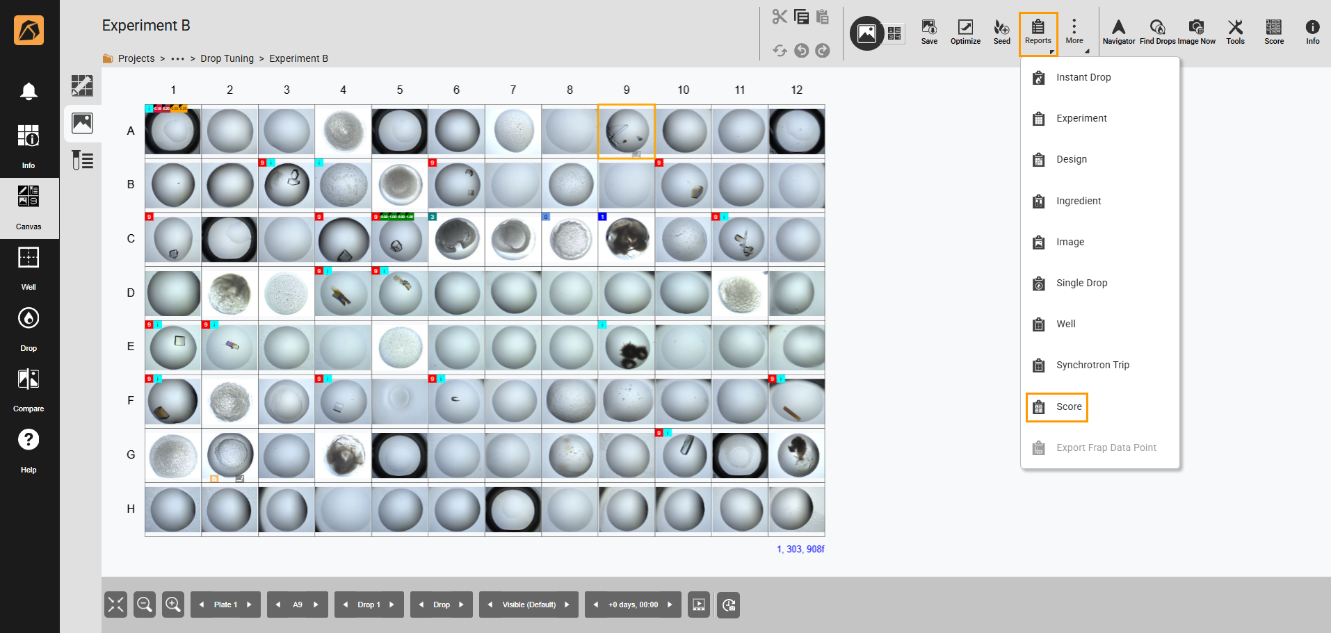 Score Report — ROCK MAKER 4.10 documentation