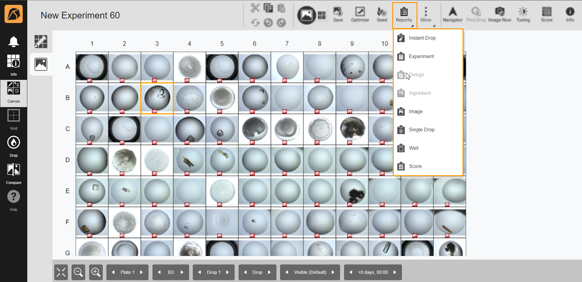 Generating a Report — ROCK MAKER 4.5 documentation