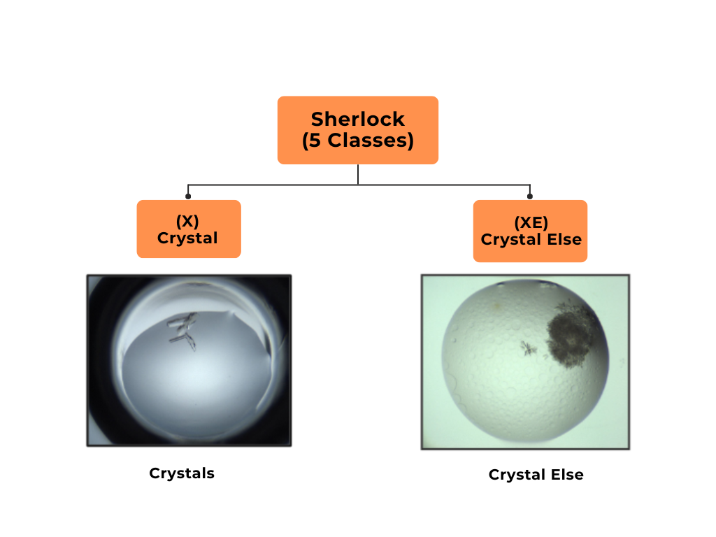 The Difference between the Crystal and Crystal Else Classes*