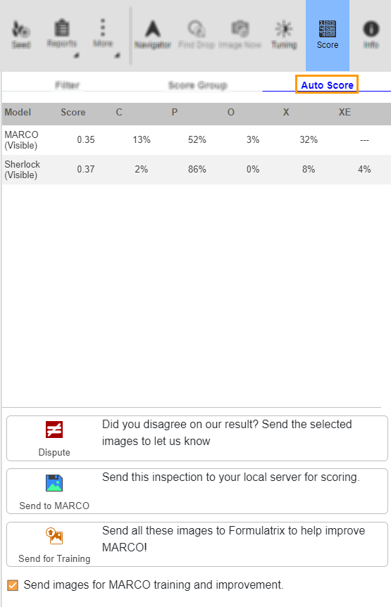 Auto Score Panel*