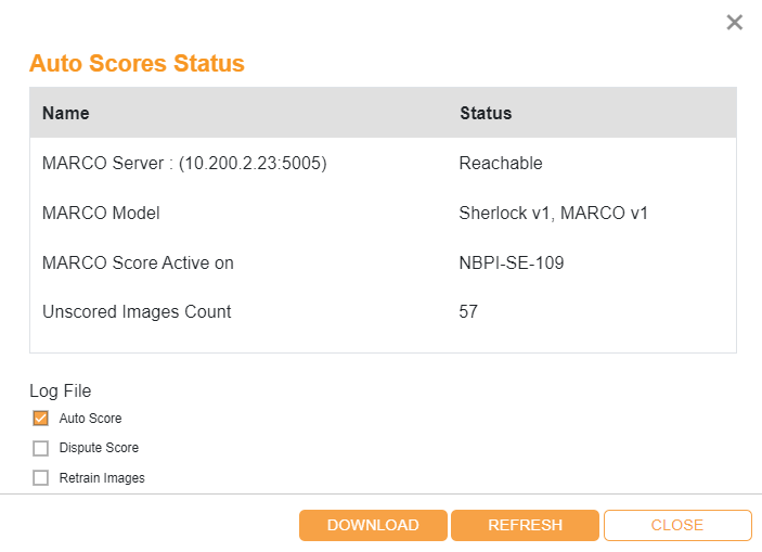 Auto Scores Status Dialog Box