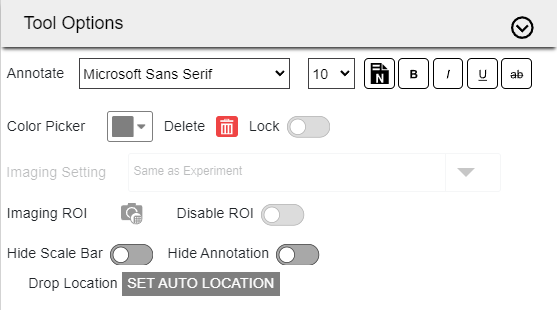 Tool Options Section
