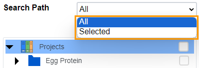 Options in the Search Path Section