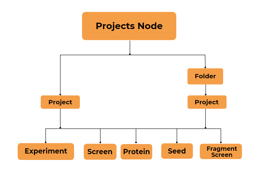 Projects Node Structure