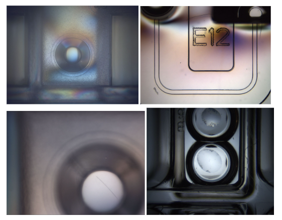 Sample Images Considered Not Ideal for Auto Scoring Accuracy