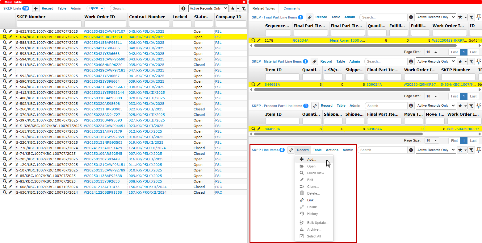 Add a Record to the SKEP Line Items/Related Tables